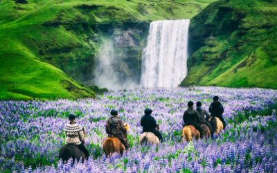 Skógafoss waterfall