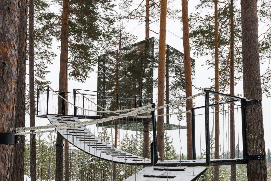 the tree hotel